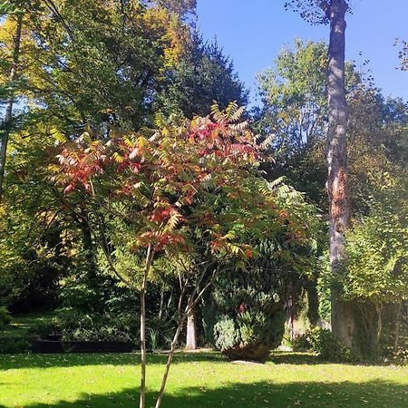 Isles-sur-Suippe Pavillon C.R B&B 외부 사진